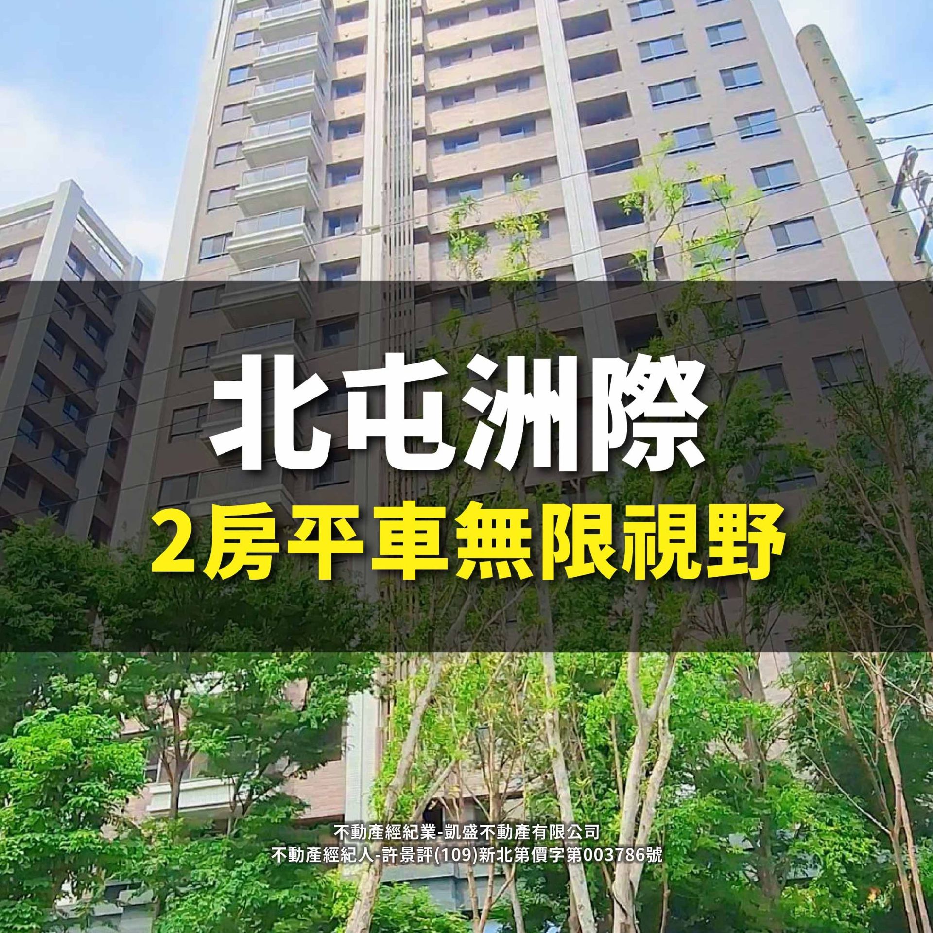 14期洲際稀有2房2衛平車